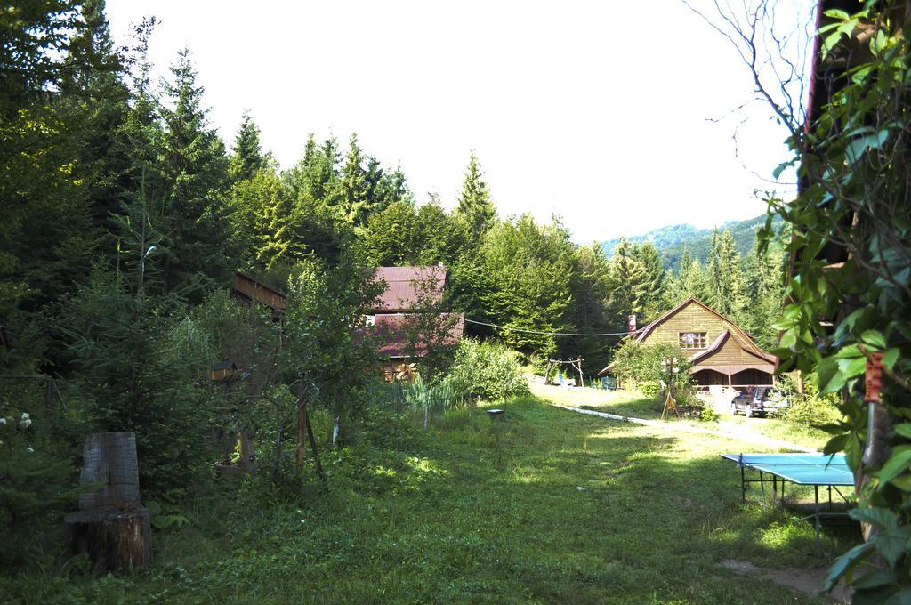Hotel Zarinok Pilipets Exterior foto